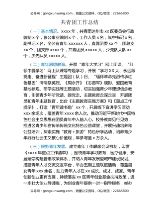 共青团工作总结