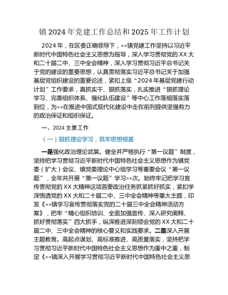 镇2024年党建工作总结和2025年工作计划