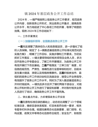 镇2024年基层政务公开工作总结