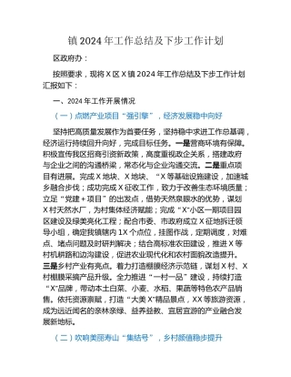 镇2024年工作总结及下步工作计划