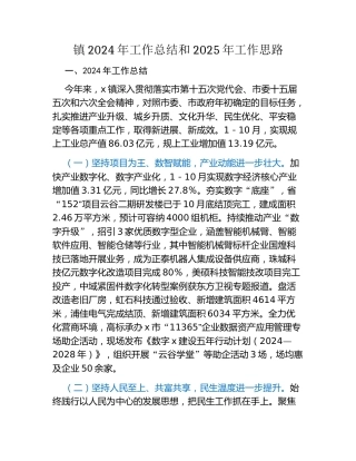 镇2024年工作总结和2025年工作思路