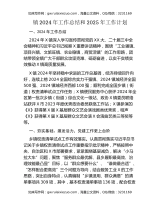 镇2024年工作总结和2025年工作计划（2）