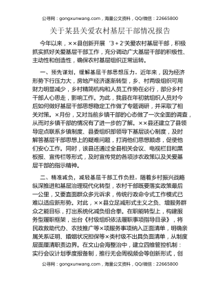 关于某县关爱农村基层干部情况报告