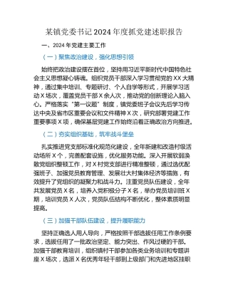 镇党委书记2024年度抓党建述职报告