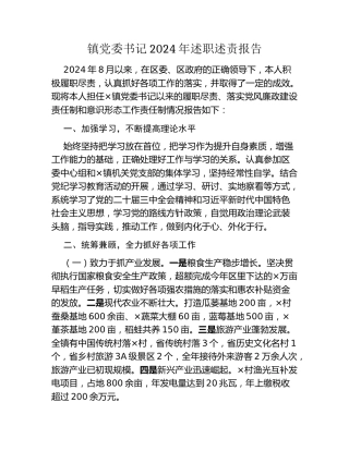 镇党委书记2024年述职述责报告
