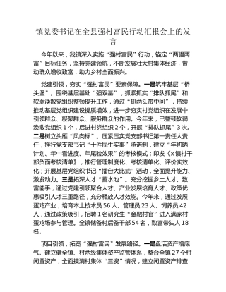 镇党委书记在全县强村富民行动汇报会上的发言
