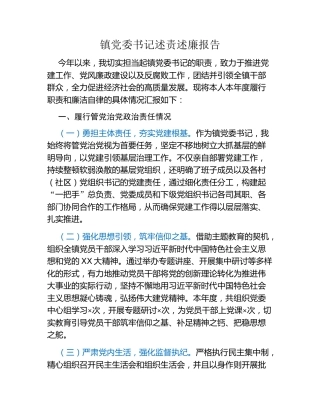 镇党委书记述责述廉报告