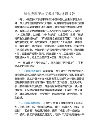 镇党委班子年度考核回访述职报告