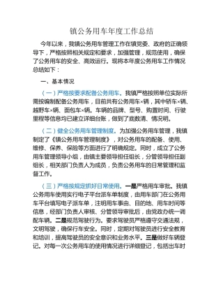 镇公务用车年度工作总结