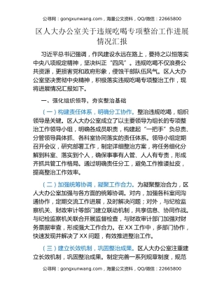 区人大办公室关于违规吃喝专项整治工作进展情况汇报