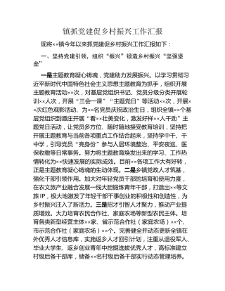 镇抓党建促乡村振兴工作汇报