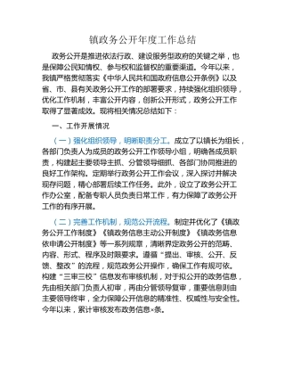 镇政务公开年度工作总结