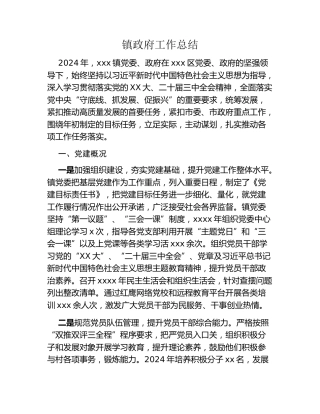 镇政府工作总结