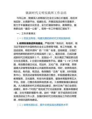 镇新时代文明实践所工作总结