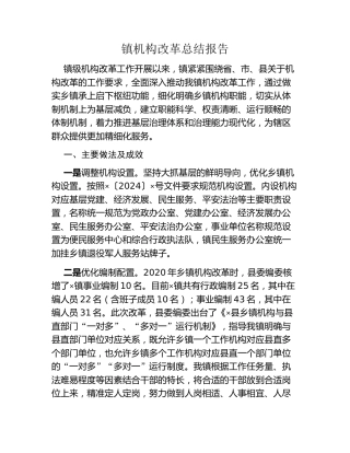 镇机构改革总结报告