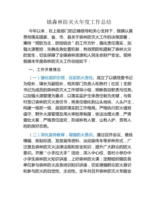 镇森林防灭火年度工作总结