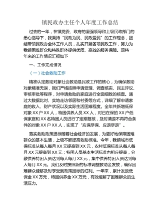 镇民政办主任个人年度工作总结
