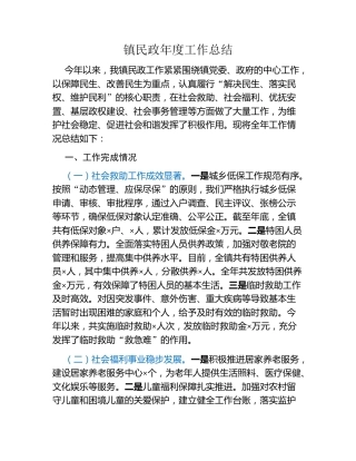 镇民政年度工作总结