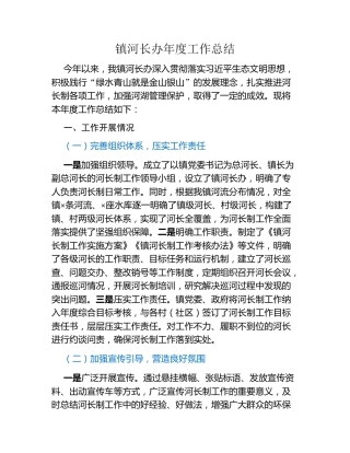 镇河长办年度工作总结