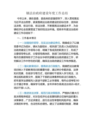 镇法治政府建设年度工作总结