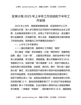 区审计局2025年上半年工作总结和下半年工作安排