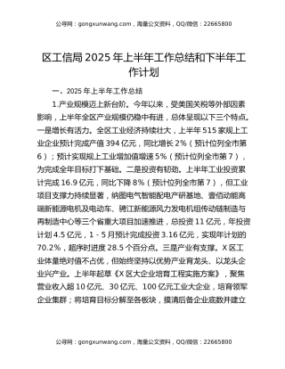 区工信局2025年上半年工作总结和下半年工作计划