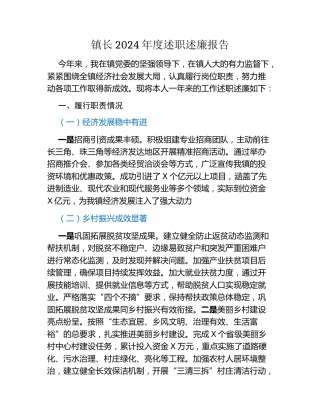 镇长2024年度述职述廉报告