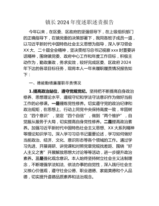 镇长2024年度述职述责报告