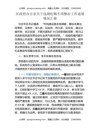区政府办公室关于违规吃喝专项整治工作进展情况汇报