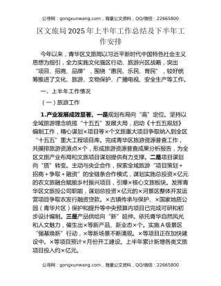 区文旅局2025年上半年工作总结及下半年工作安排