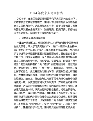 集团党委副书记2024年度个人述职报告