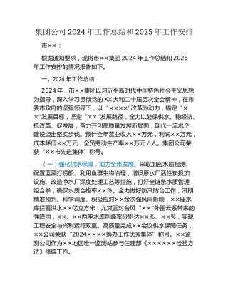 集团公司2024年工作总结和2025年工作安排