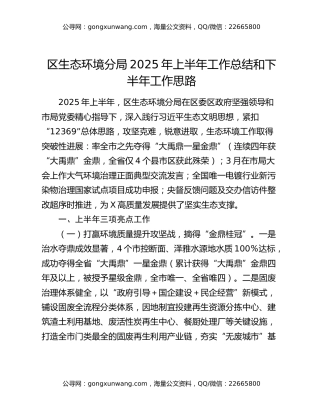 区生态环境分局2025年上半年工作总结和下半年工作思路