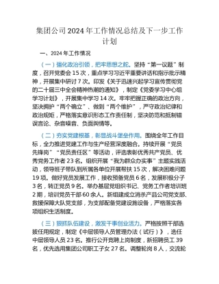 集团公司2024年工作情况总结及下一步工作计划