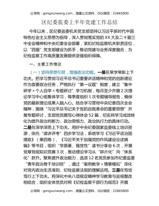 区纪委监委上半年党建工作总结
