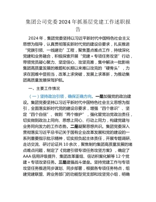 集团公司党委2024年抓基层党建工作述职报告
