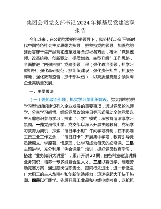 集团公司党支部书记2024年抓基层党建述职报告