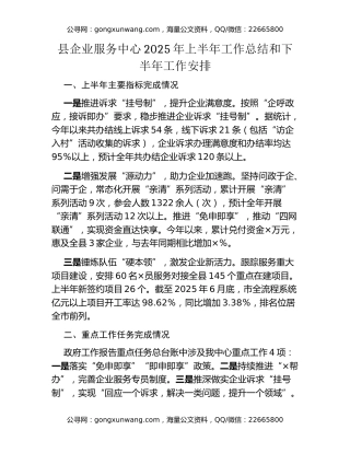 县企业服务中心2025年上半年工作总结和下半年工作安排 (2)