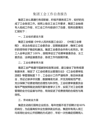 集团工会工作自查报告