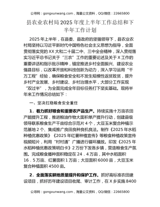 县农业农村局2025年度上半年工作总结和下半年工作计划