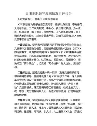集团正职领导履职情况自评报告