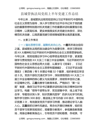 县城管执法局党组上半年党建工作总结