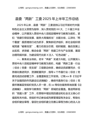 县委“两新”工委2025年上半年工作总结