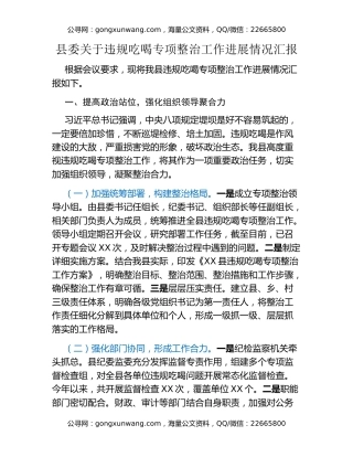 县委关于违规吃喝专项整治工作进展情况汇报