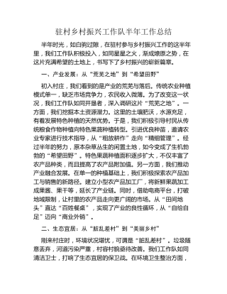 驻村乡村振兴工作队半年工作总结