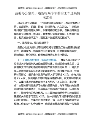 县委办公室关于违规吃喝专项整治工作进展情况汇报