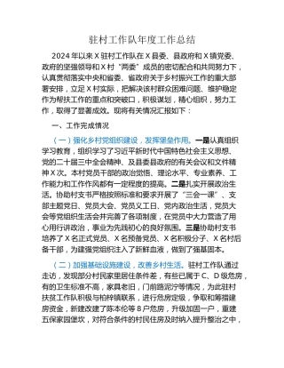 驻村工作队年度工作总结