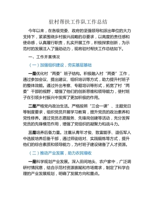 驻村帮扶工作队工作总结