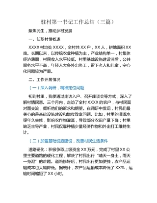 驻村第一书记工作总结（三篇）