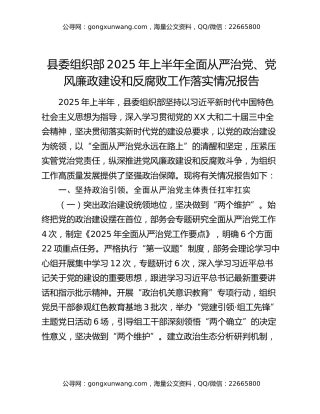 县委组织部2025年上半年全面从严治党、党风廉政建设和反腐败工作落实情况报告